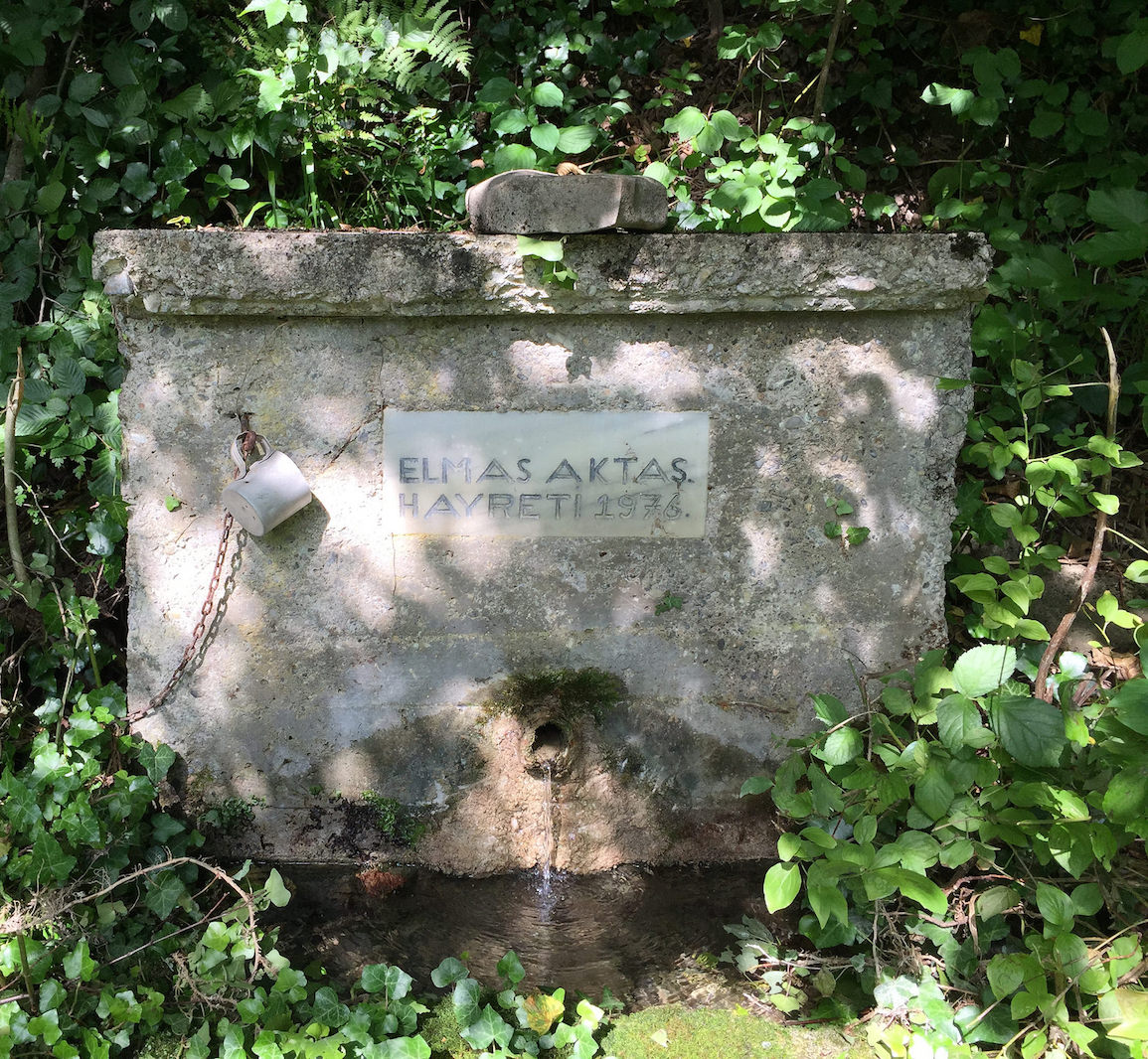 Ayancık Mestan Köyü